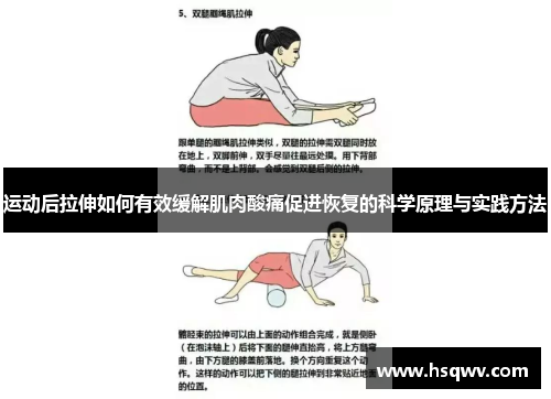 运动后拉伸如何有效缓解肌肉酸痛促进恢复的科学原理与实践方法